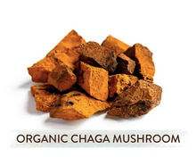 Load image into Gallery viewer, Organic Chaga Mushroom
