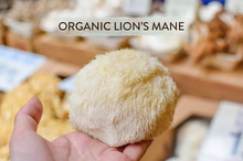 Load image into Gallery viewer, Organic Lions Mane
